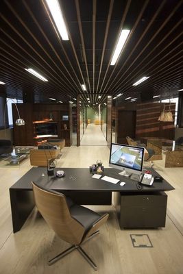 Modern Executive Cabin