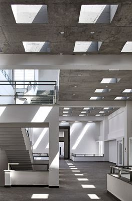 Minimalist Education Reception