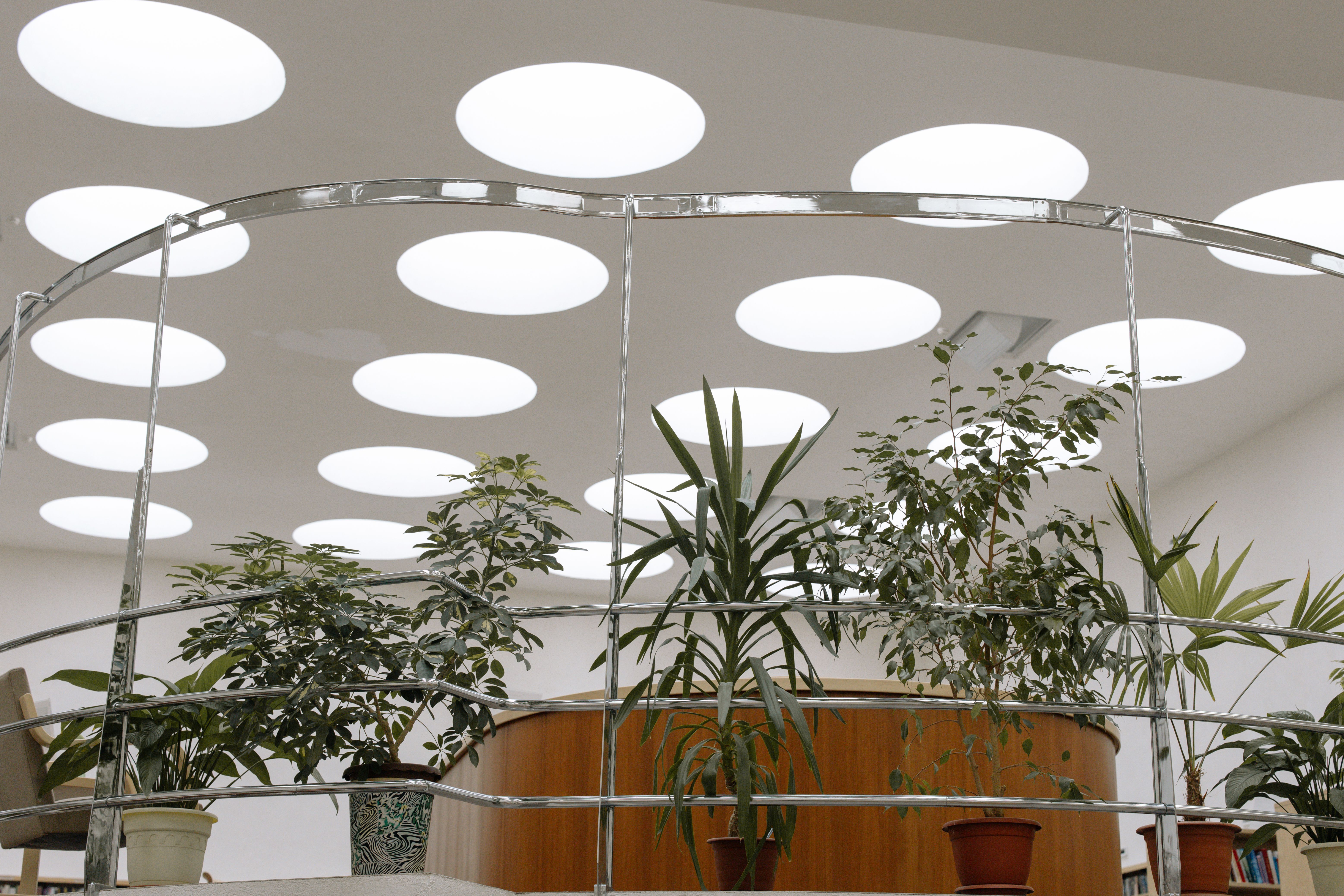 Contemporary office interior featuring lush plants and unique circular skylights.